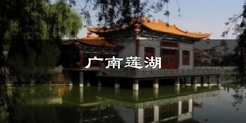 广南莲湖天气预报十五天