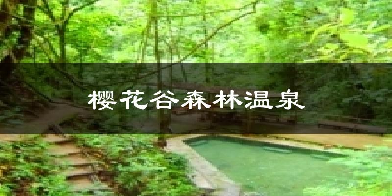 樱花谷森林温泉天气预报十五天