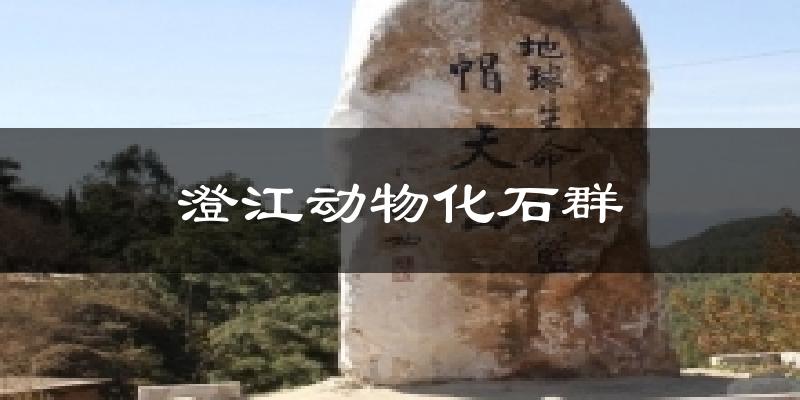 澄江澄江动物化石群天气预报未来一周
