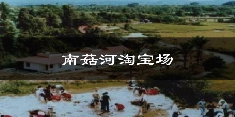 瑞丽南菇河淘宝场天气预报未来一周