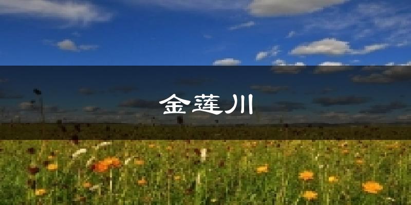 金莲川气温