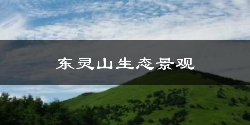 东灵山生态景观气温