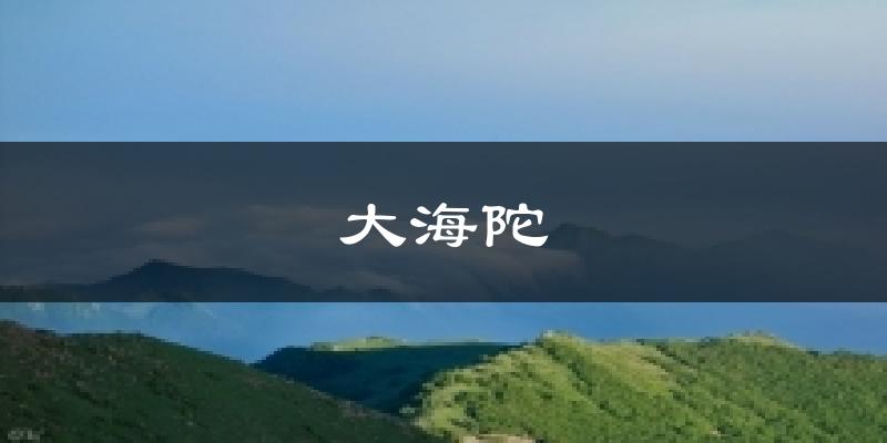 大海陀气温