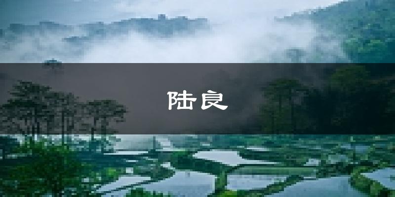 陆良天气预报未来一周